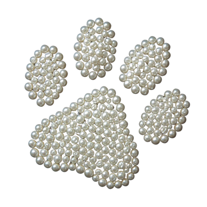 paw print made of pearls