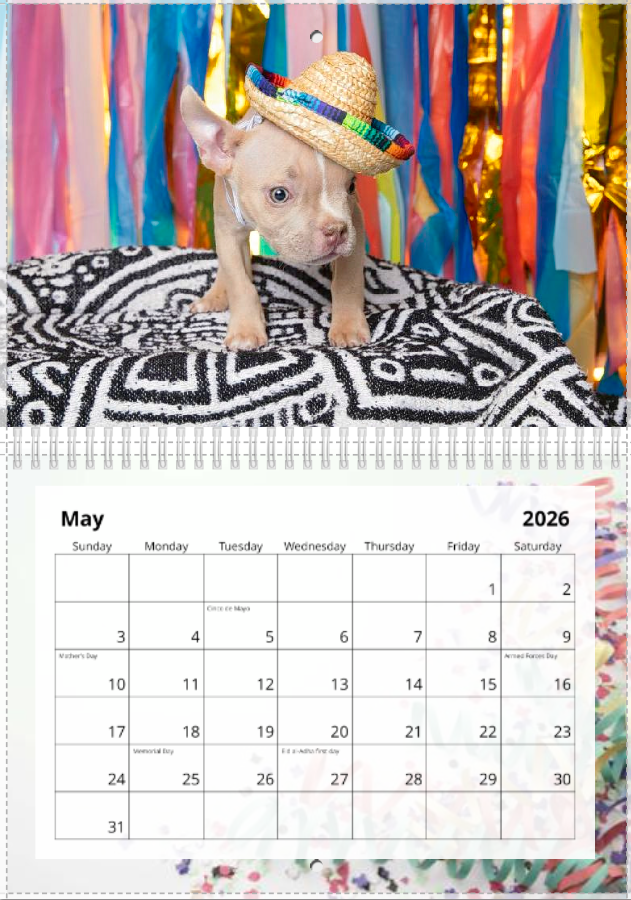Screenshot 2025-12-12 100823.png (Copy)