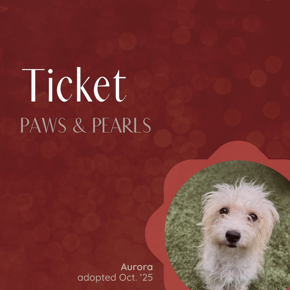 Coming Soon - Ticket, Paws & Pearls