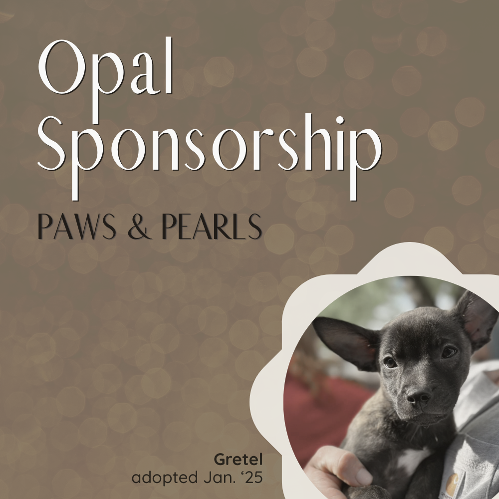 Coming Soon - Opal Sponsorship, Paws & Pearls