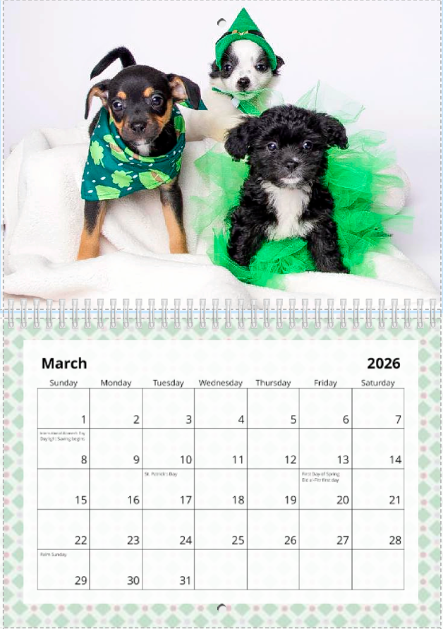 Screenshot 2025-12-12 100808.png (Copy)