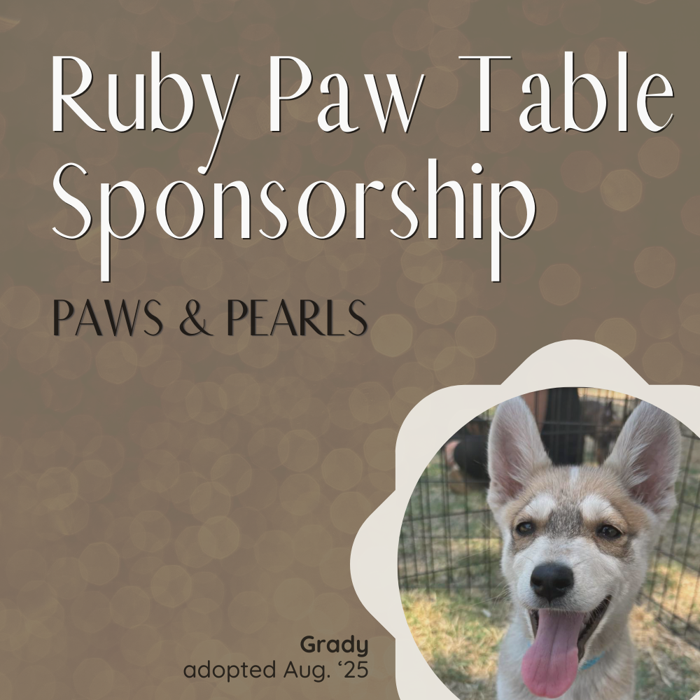 Coming Soon - Ruby Paw Table Sponsorship, Paws & Pearls