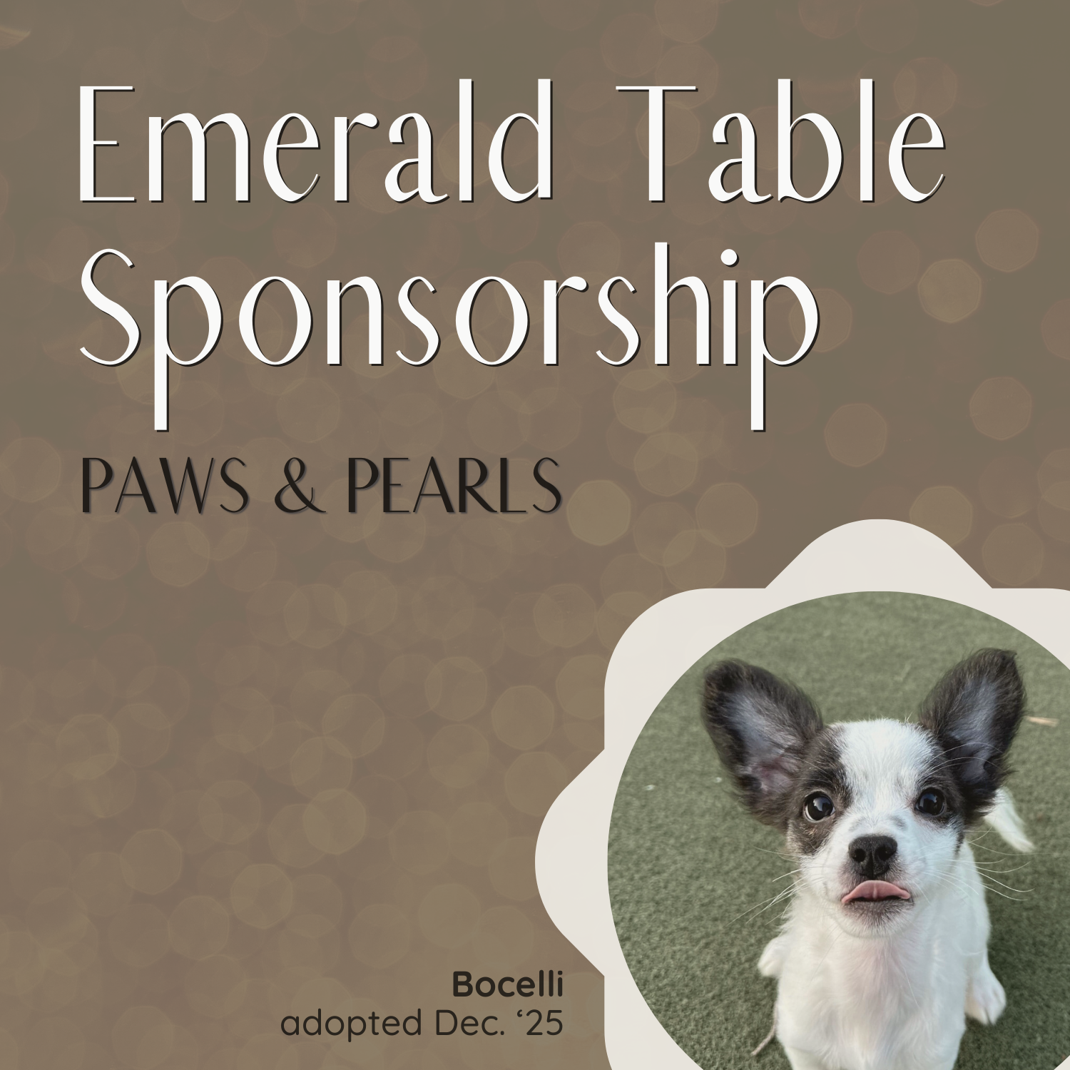Coming Soon - Emerald Paw Table Sponsorship, Paws & Pearls
