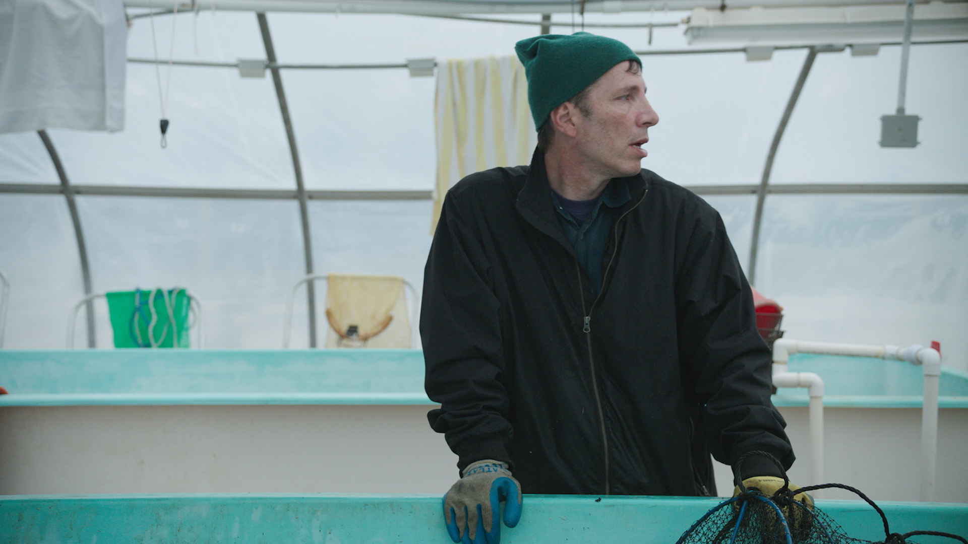 Bluepoint │Director
