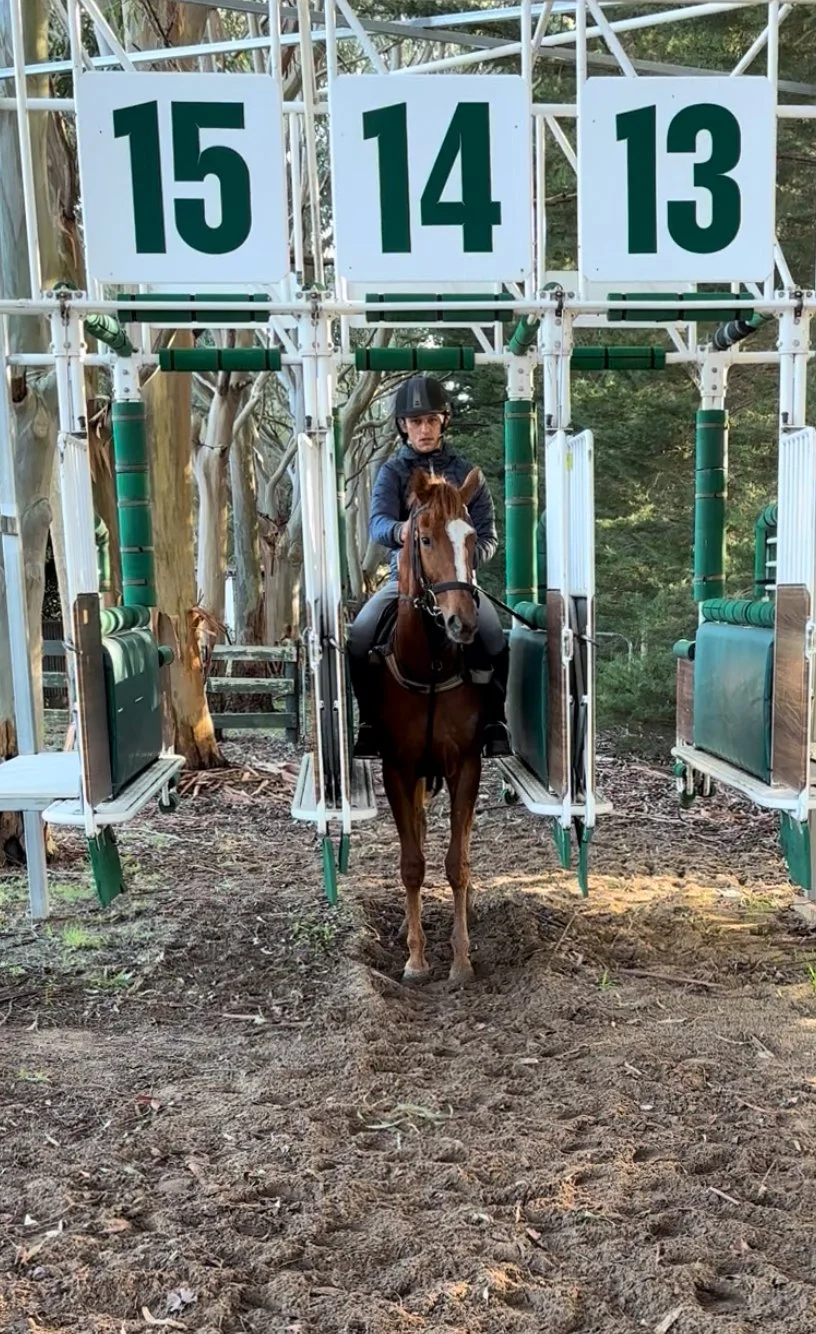 Barriers for training racehorses