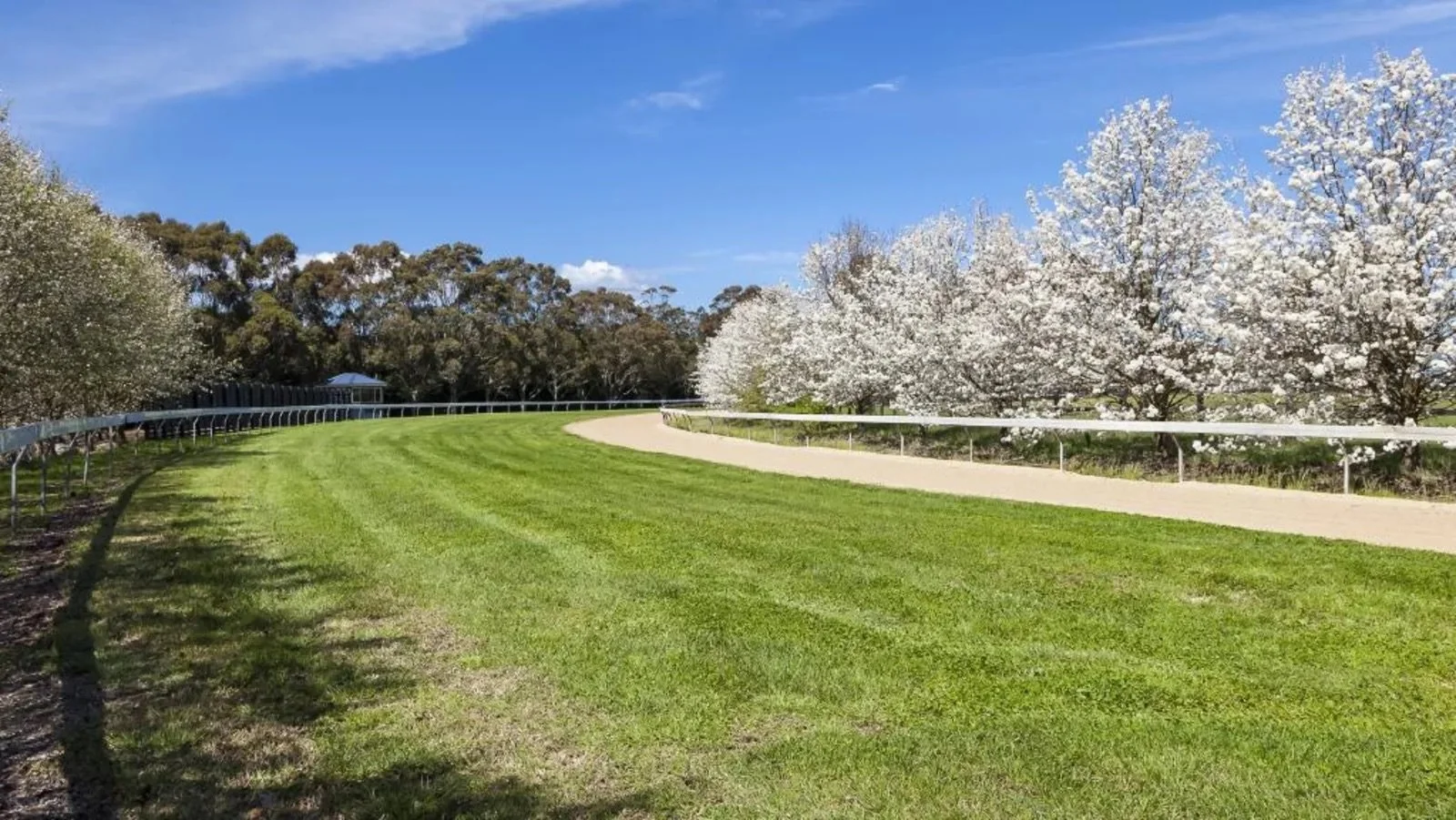 1700m grass gallop track