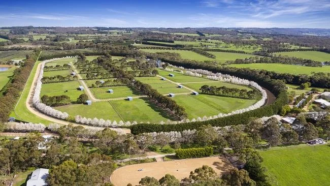 1700 meter gallop track, sand track, grass track