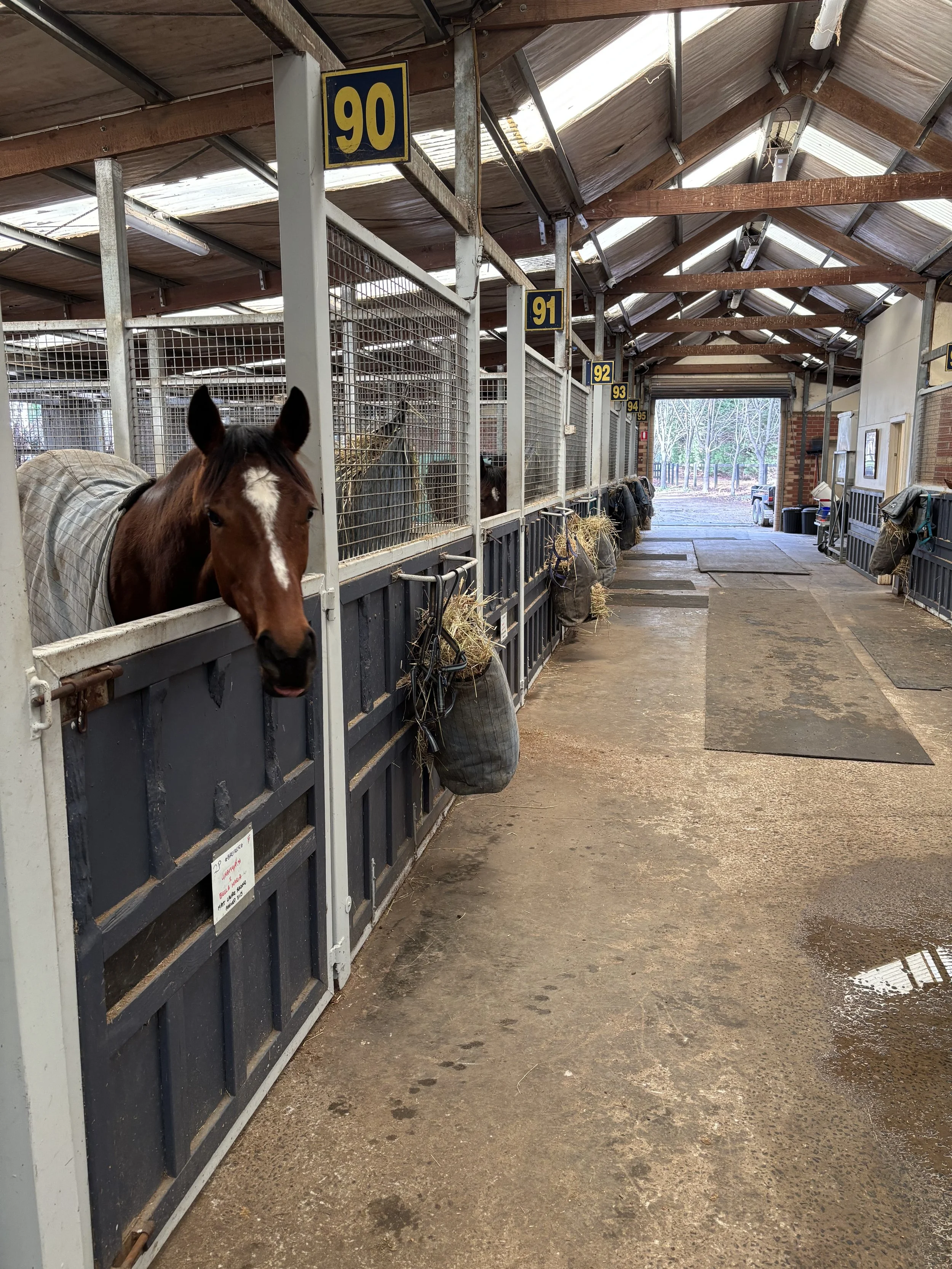Stable complex design, safe and airy barn
