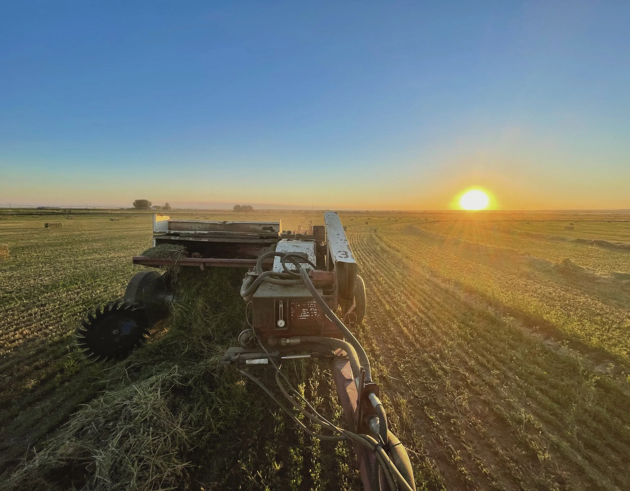 Classes — Emert Hay and Livestock
