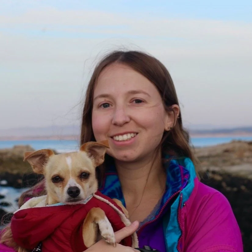 Screen Shot 2023-09-19 at 12.28.47 PM.jpg