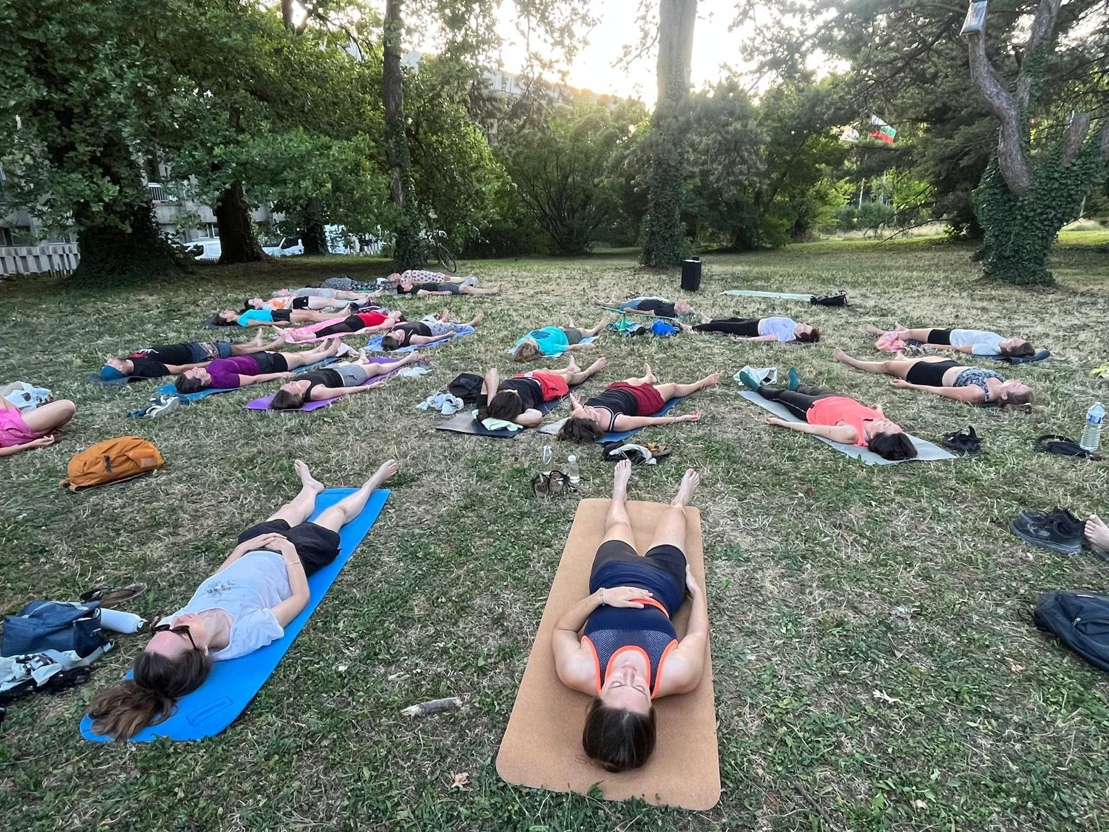Groupe de personnes faisant du yoga dans un parc en plein air, allongées sur des tapis, dans un cadre naturel avec des arbres et la lumière du soleil