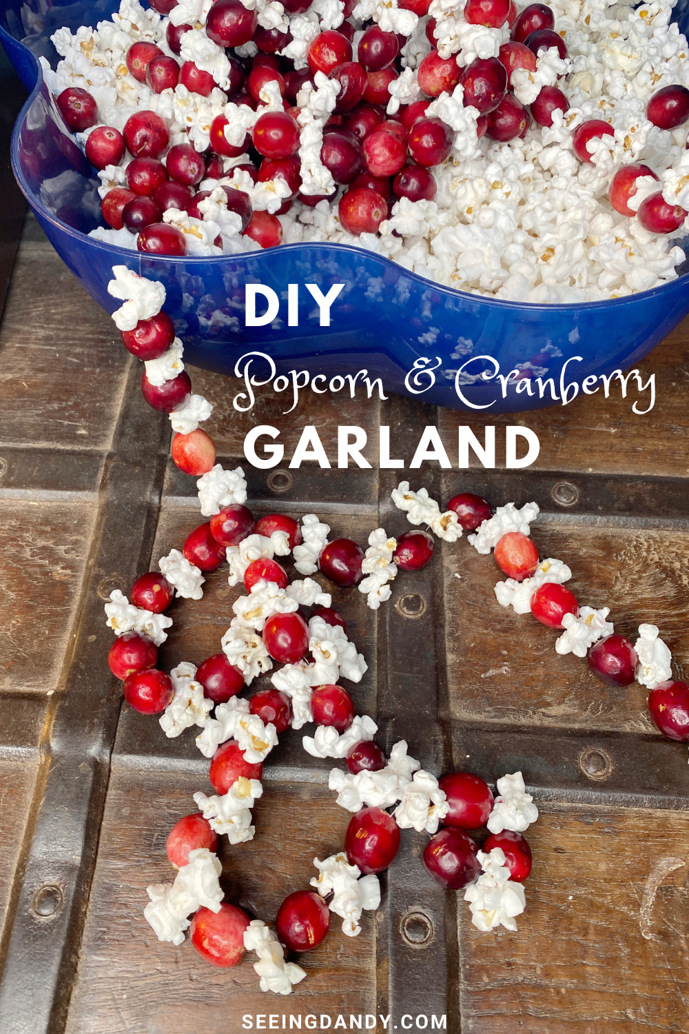 DIY-POPCORN-CRANBERRY-GARLAND.png