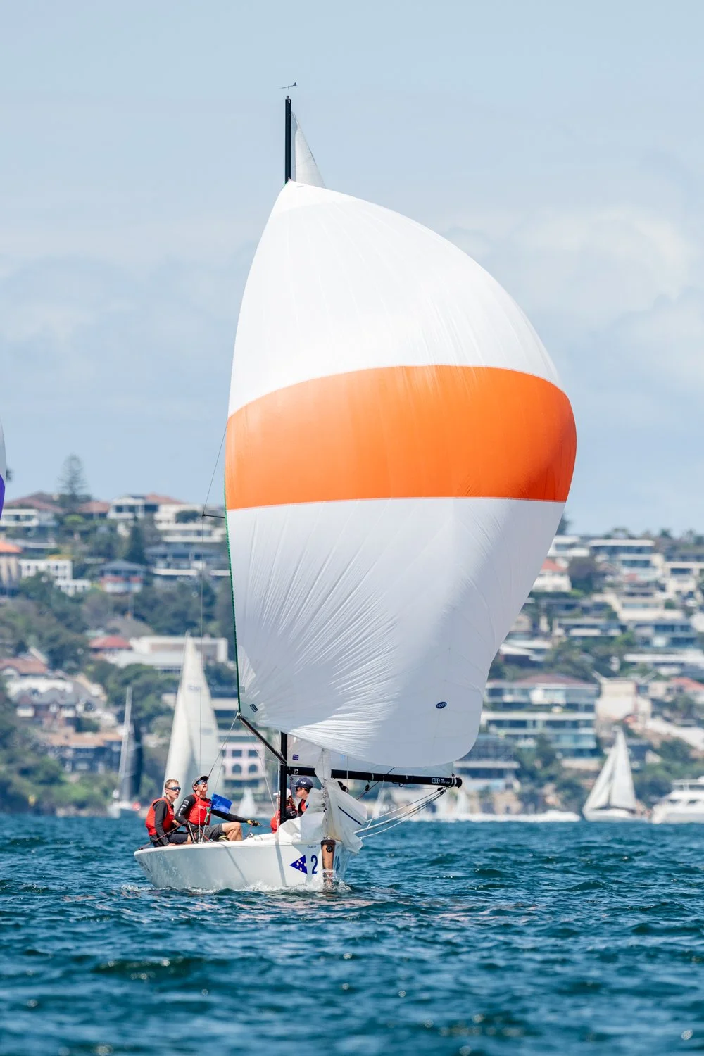 DSC_7943.jpg