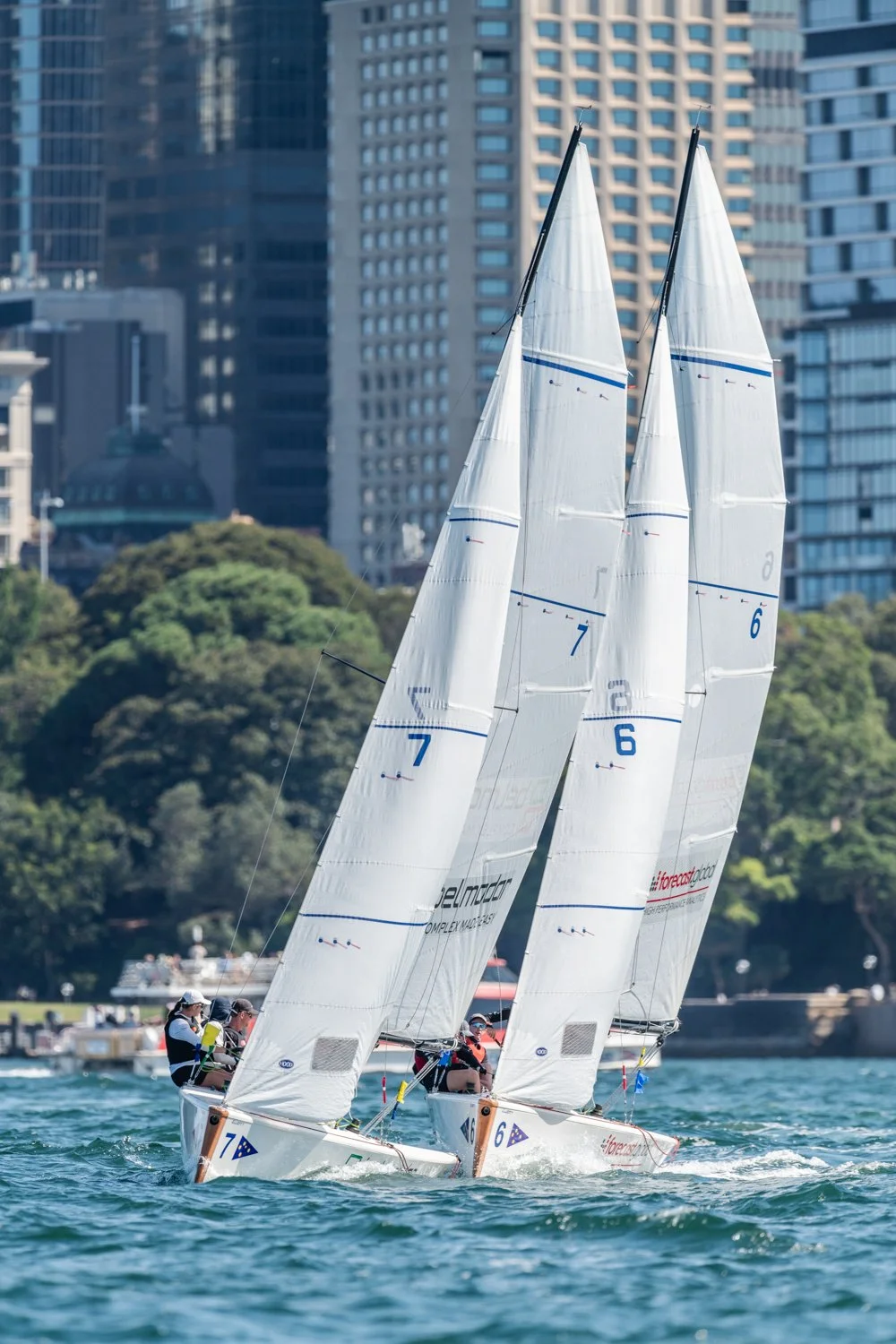 DSC_8017-2.jpg
