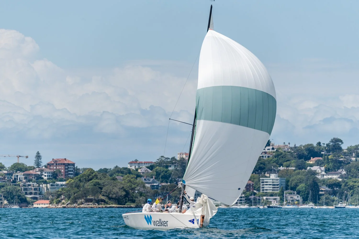 DSC_8172.jpg