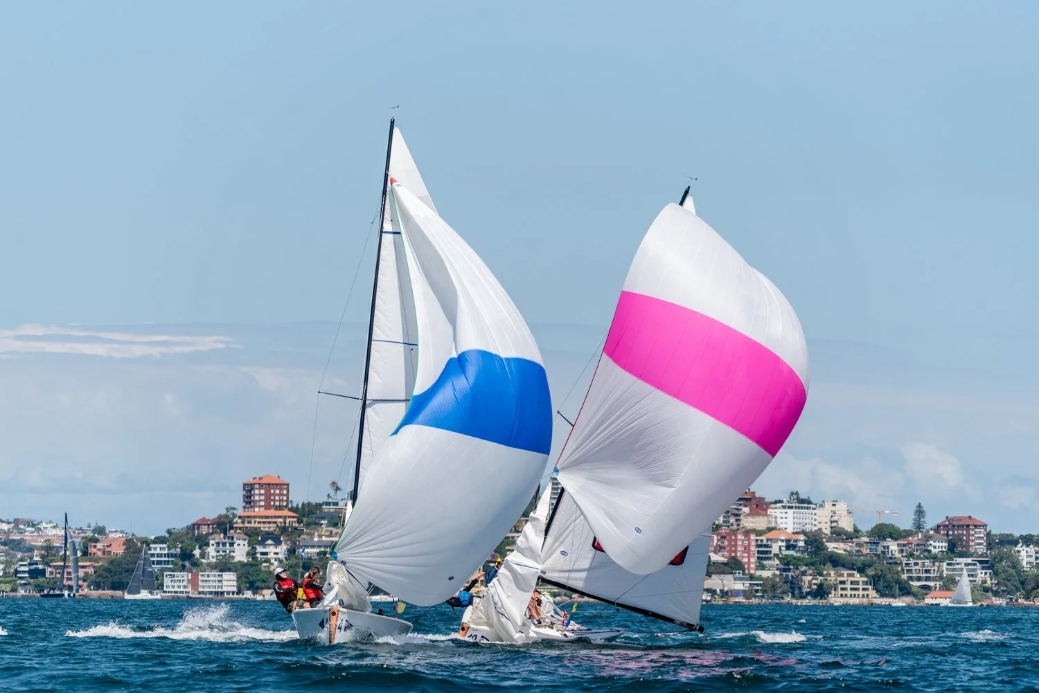 DSC_8636.jpg