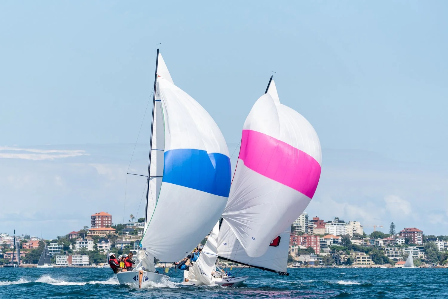 DSC_8637.jpg