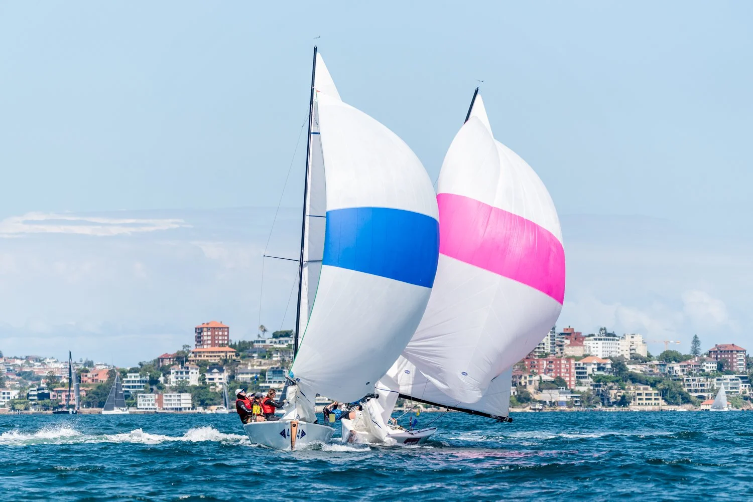 DSC_8638.jpg
