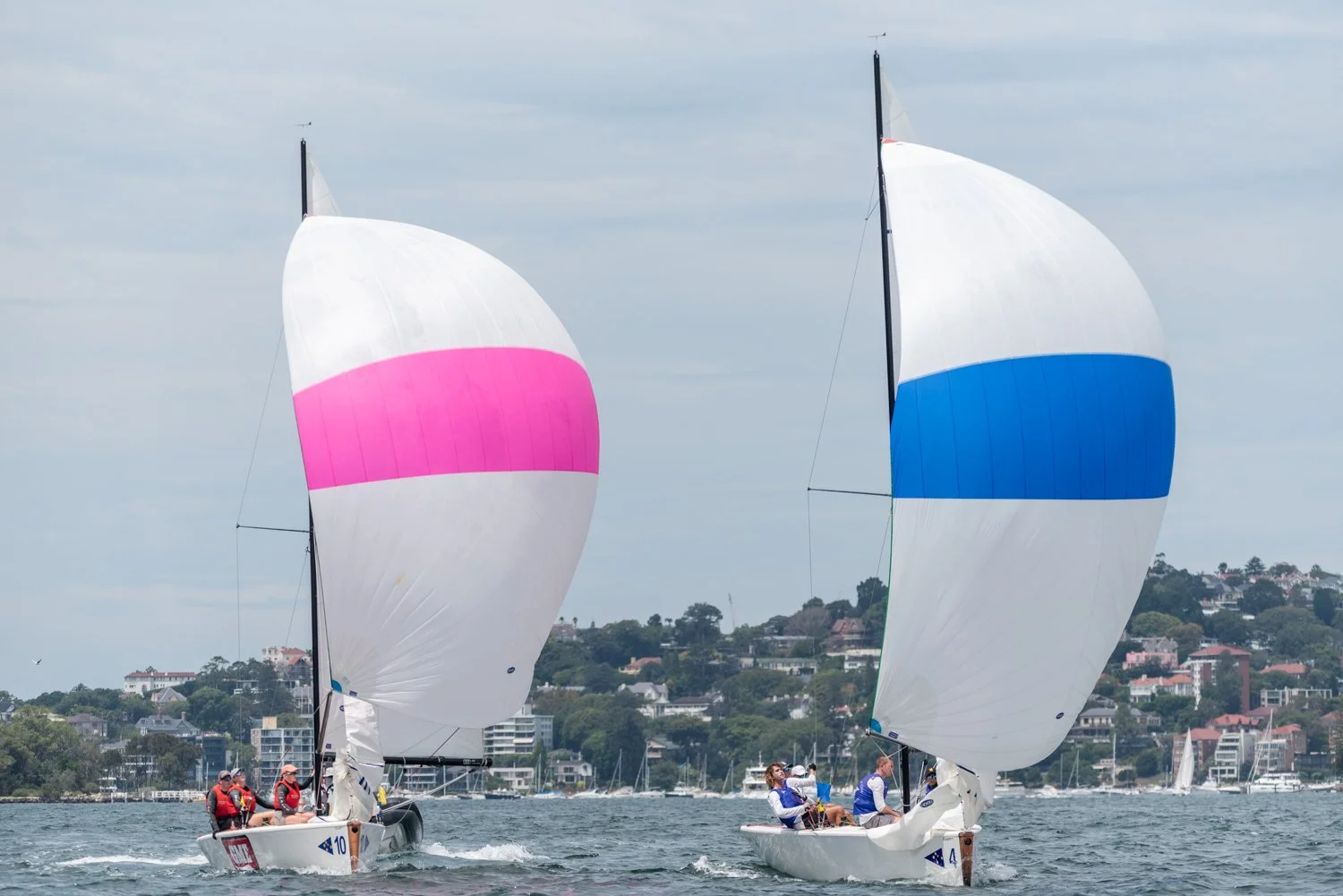 DSC_7365.jpg