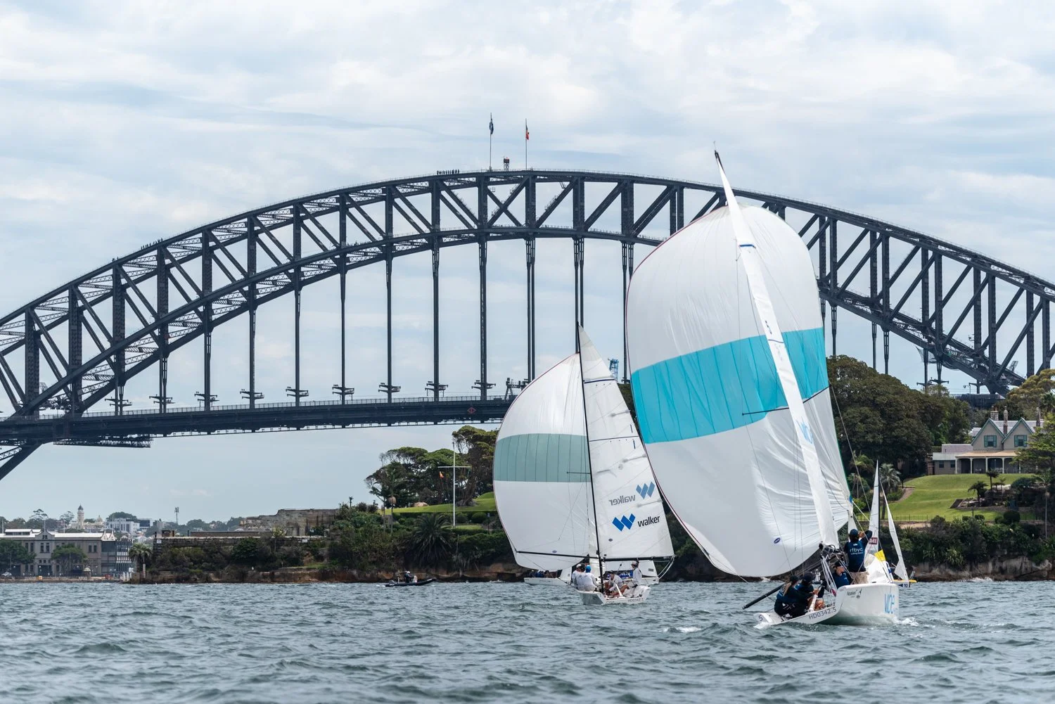 DSC_7387.jpg