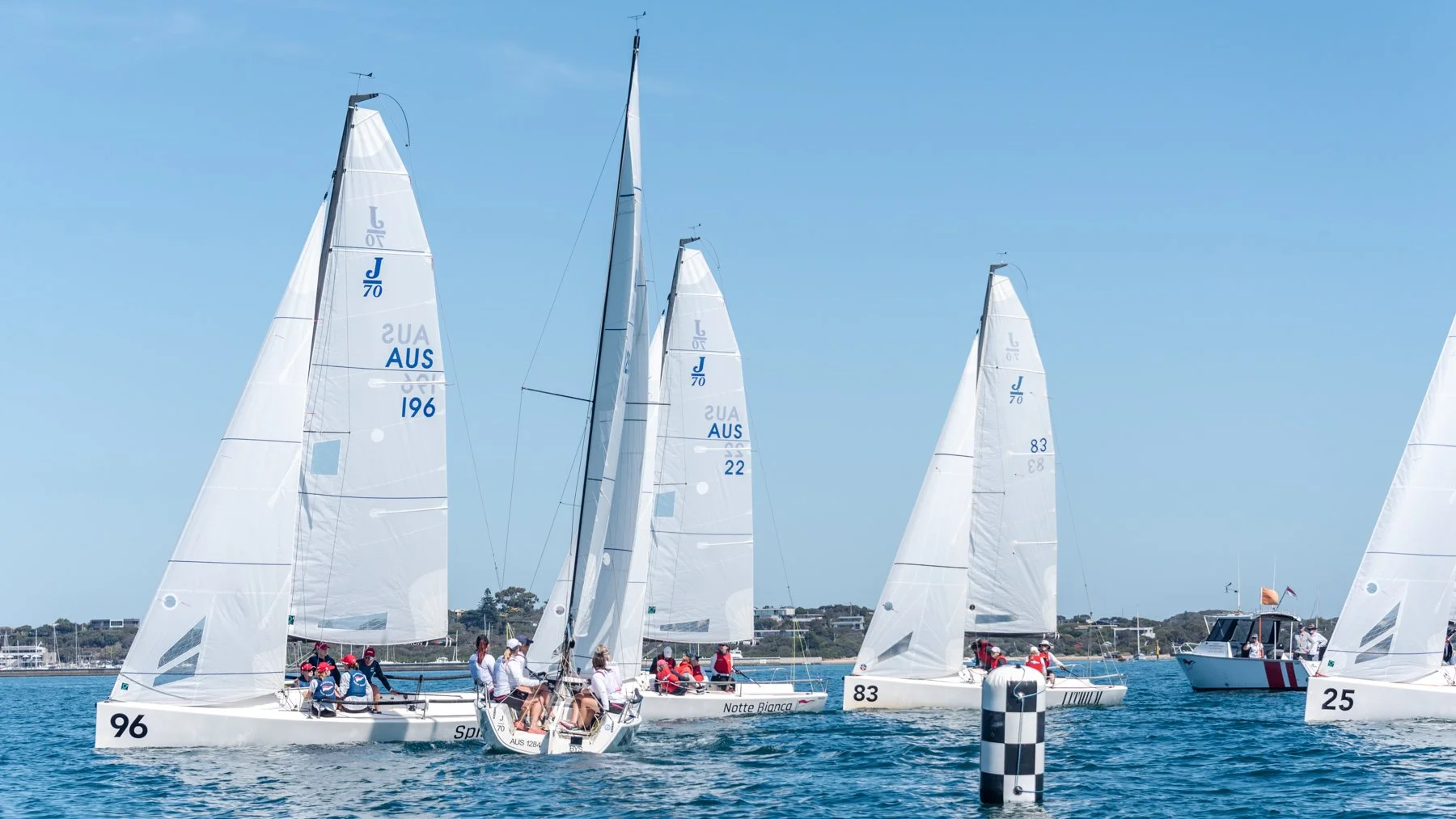 DSC_4427.jpg