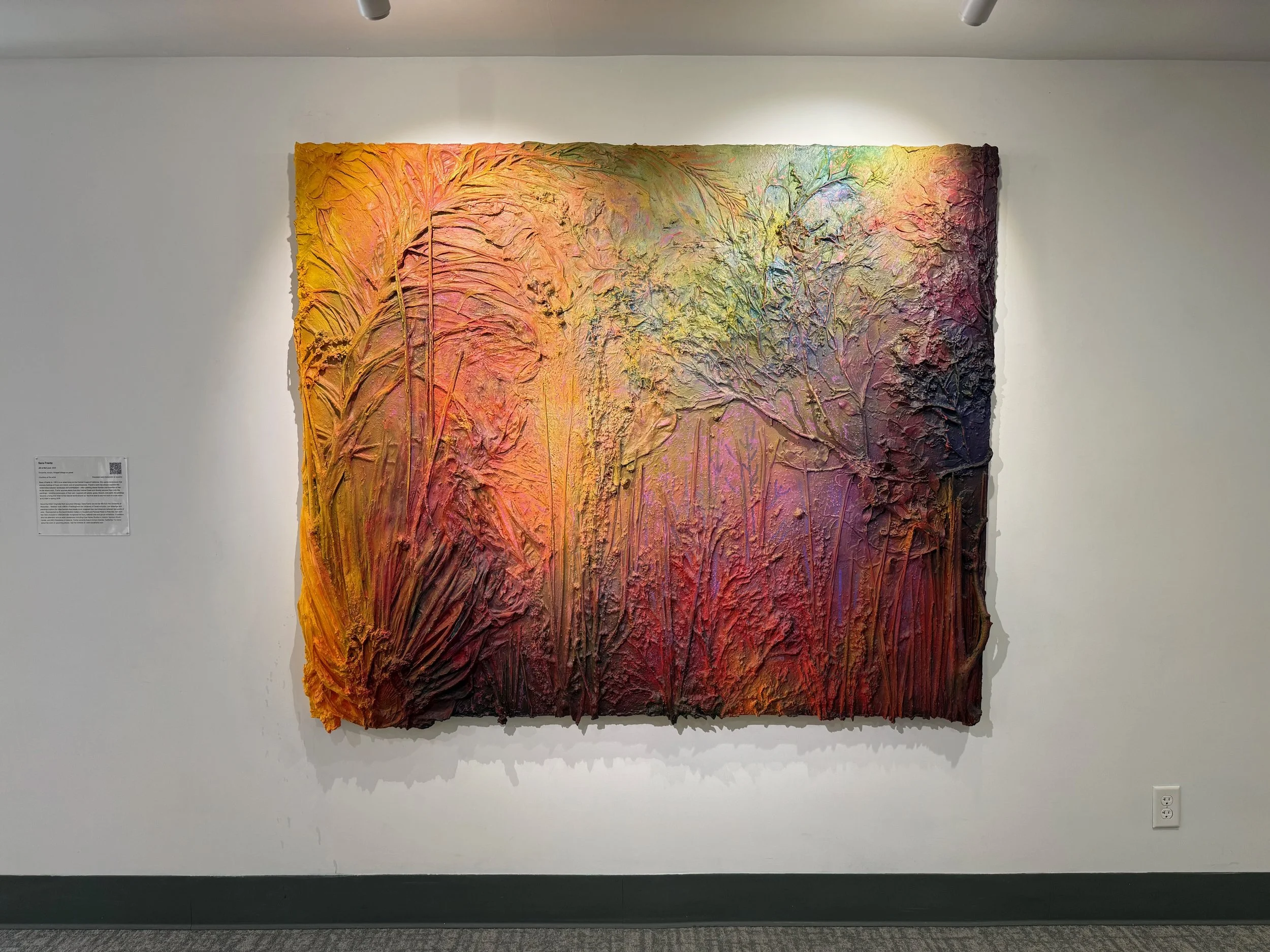 SLOMA, san luis obispo museum of art installation view of painting