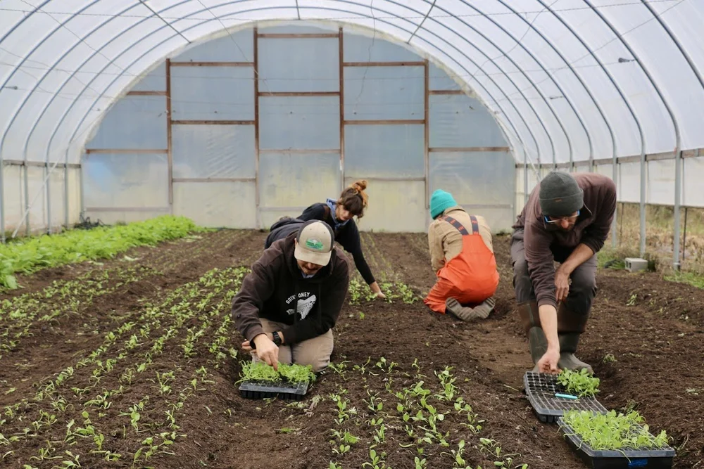 Farm Training Farm School Farmer Training Learn Farming — Organic Farm ...
