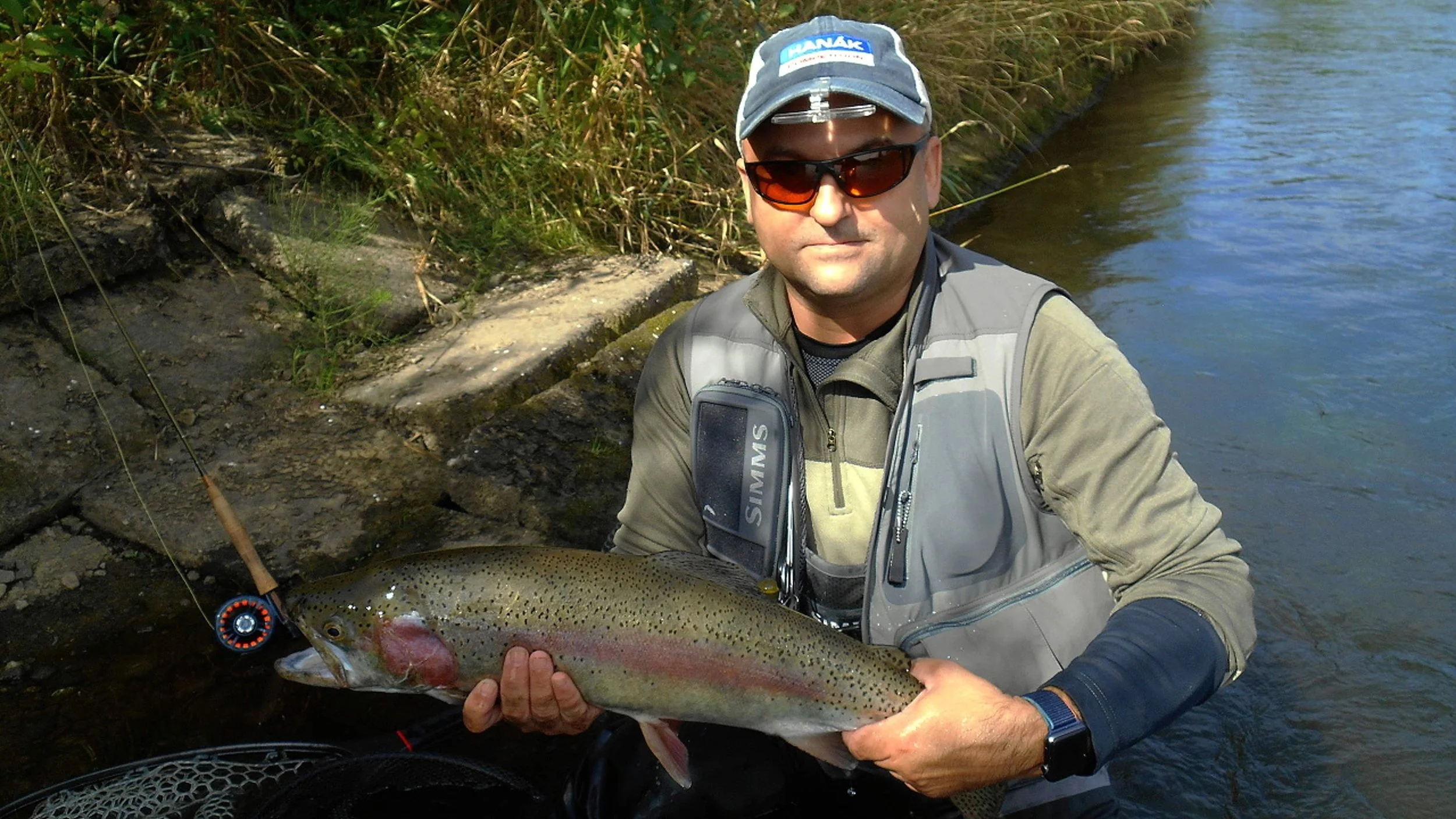 Lubomir Svabek Flies