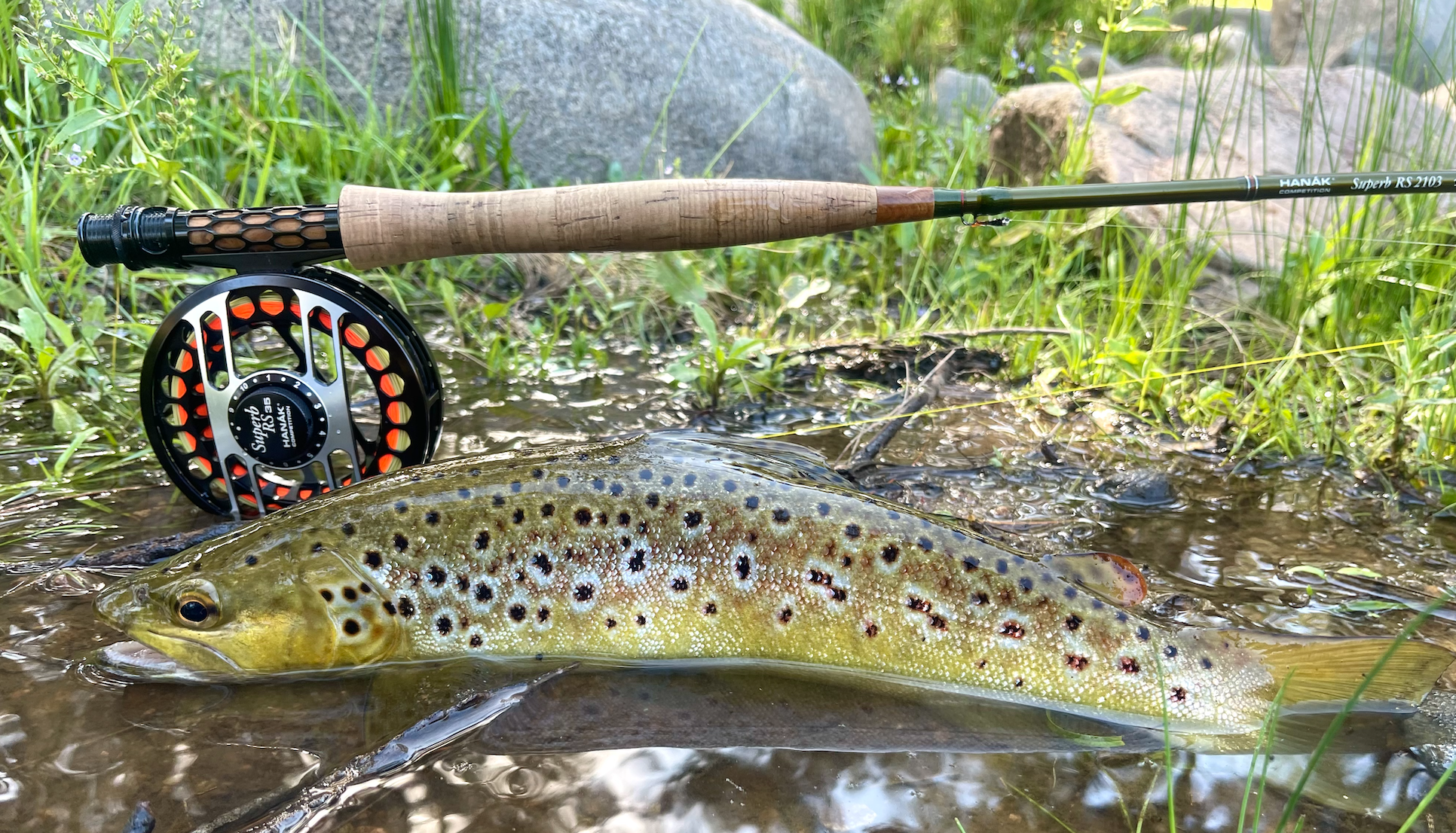Hanak Race Sense Graphene Rods.