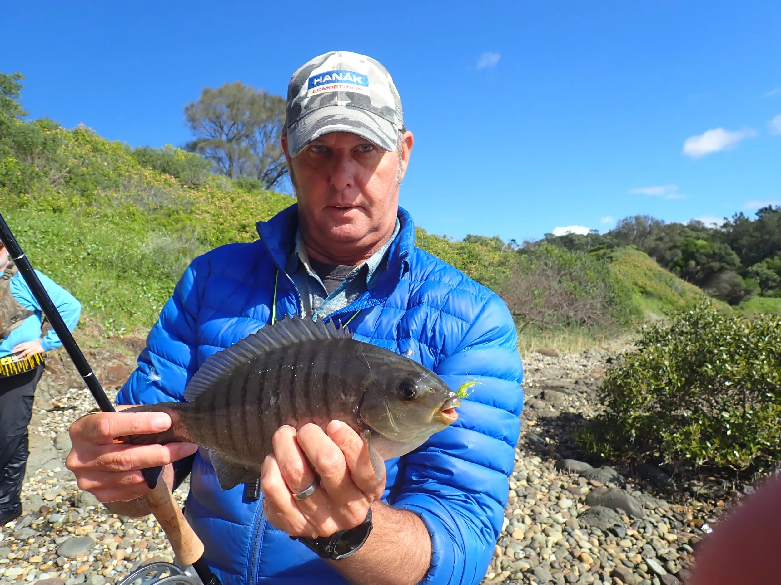 Winter Luderick on Fly