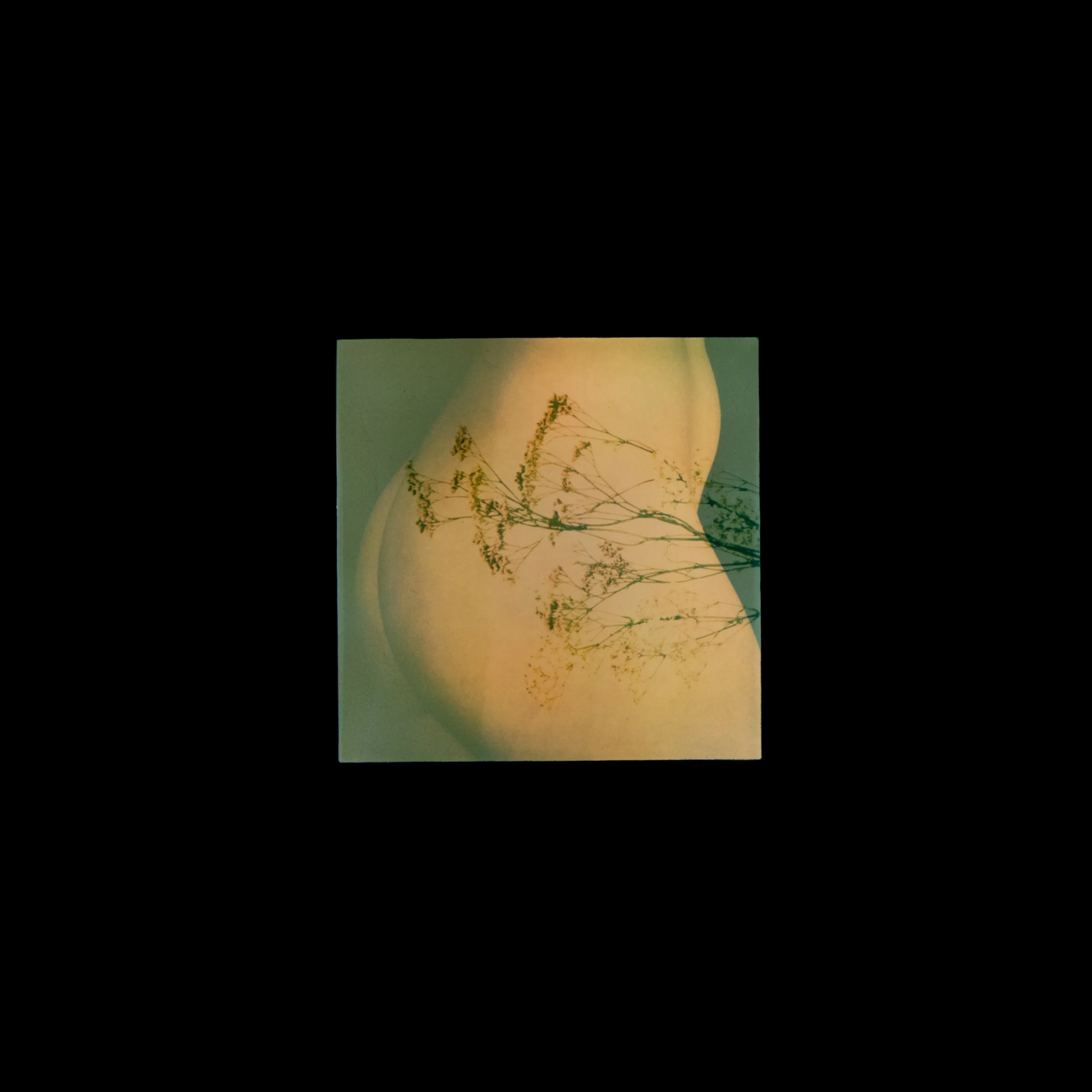 Crēscens Camera- Fulgur Pellis
10x10 Color Polaroid Transparency