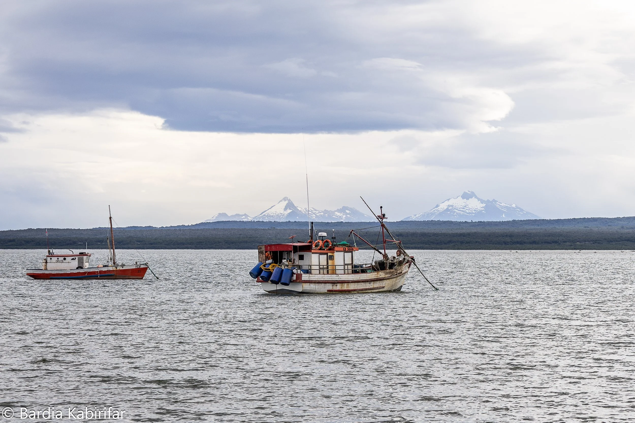 December 25th, 2024 Punta Arenas, Chile