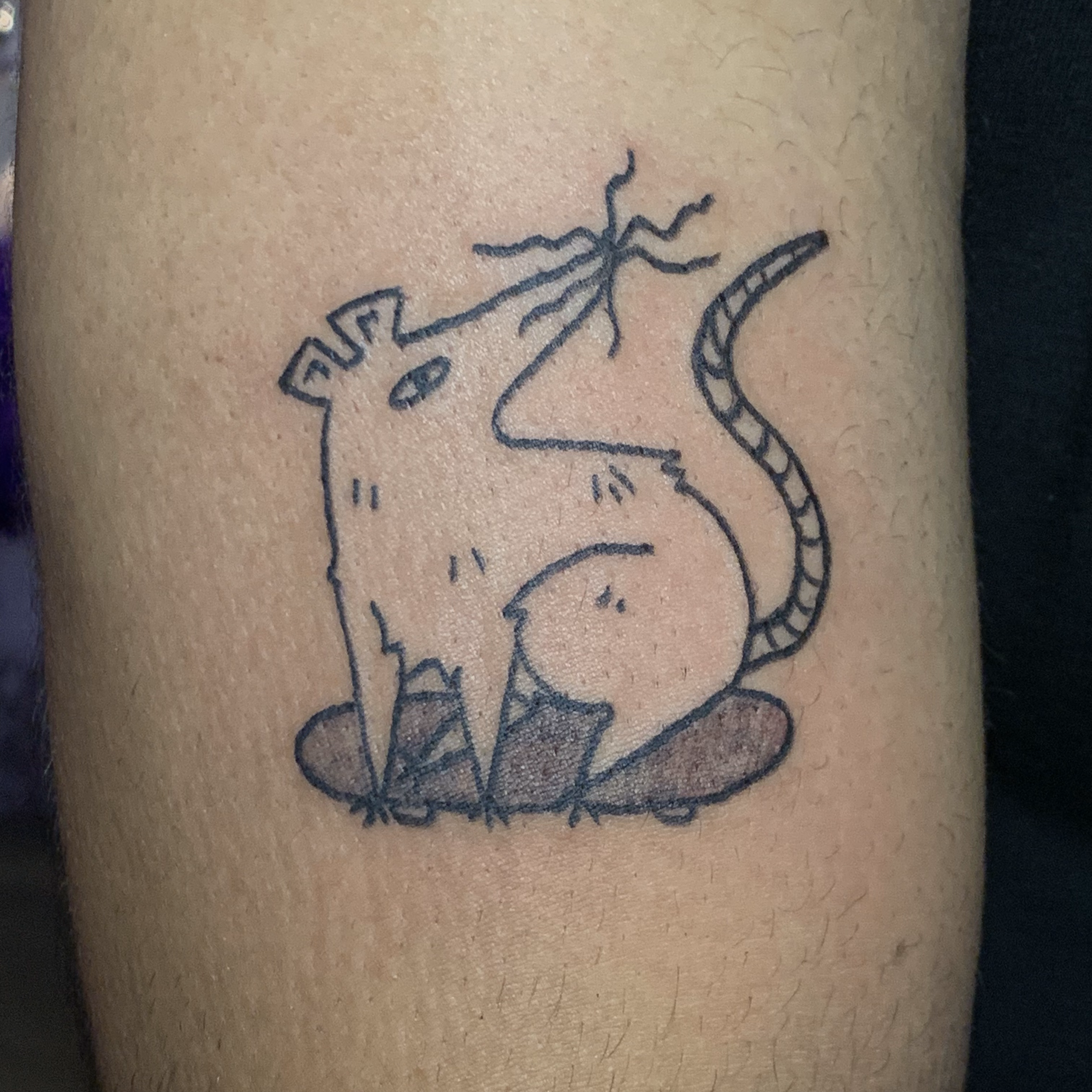 rat.png