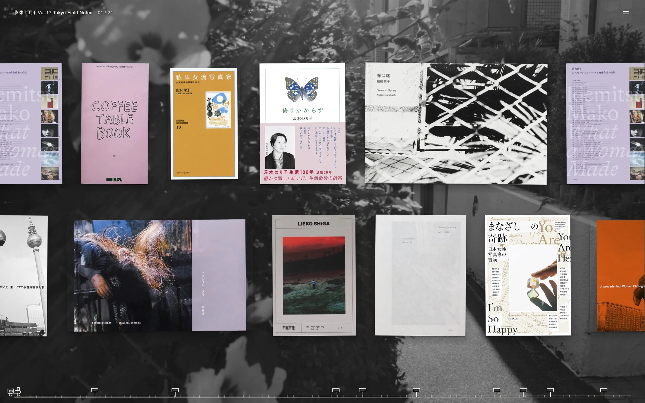 vol17_image_01.jpeg