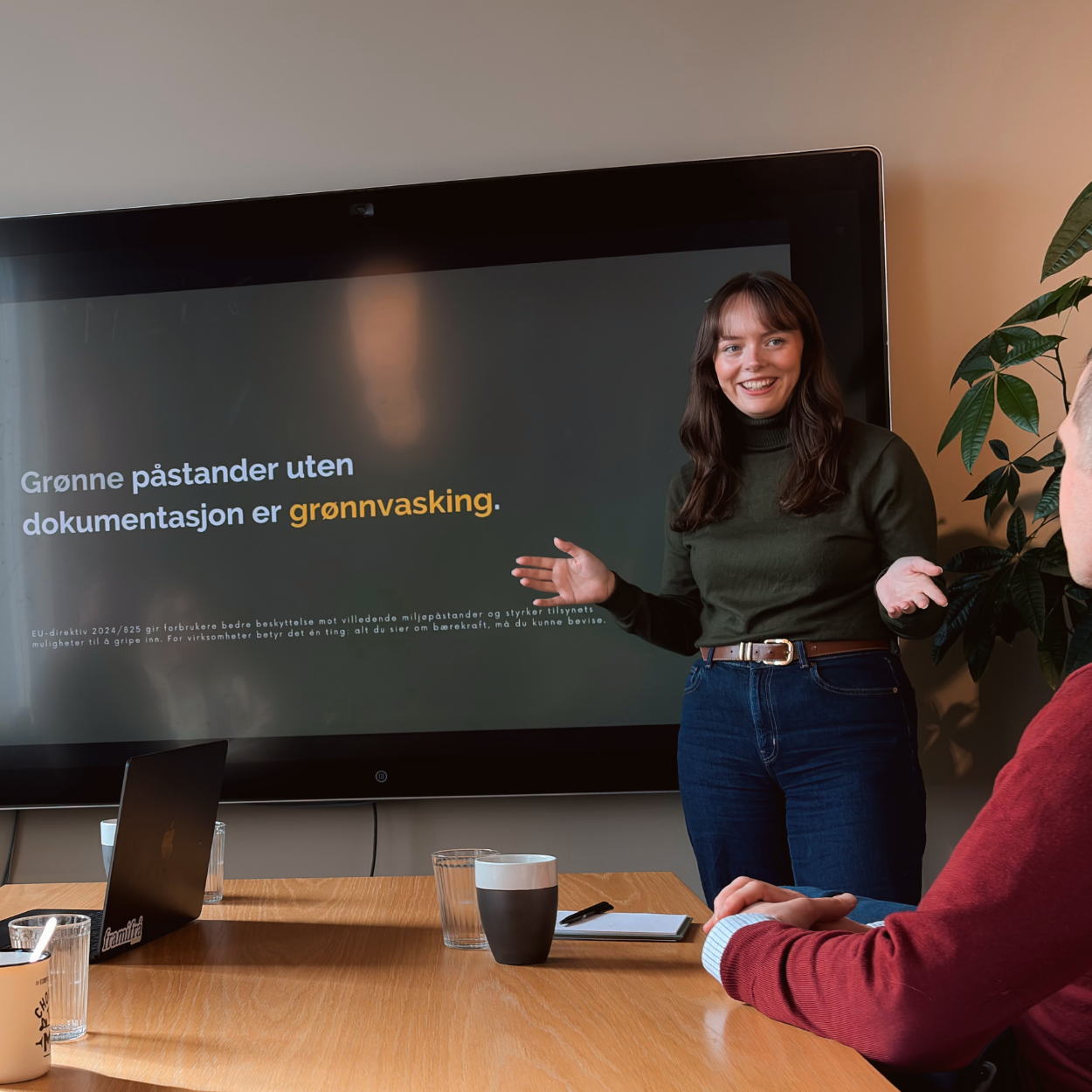 Kan du dømmes for grønnvasking?