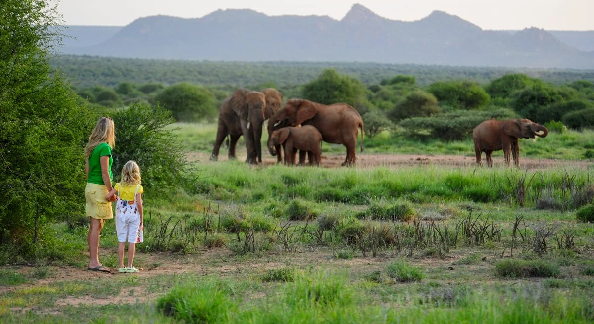 watching elephants-8.jpg