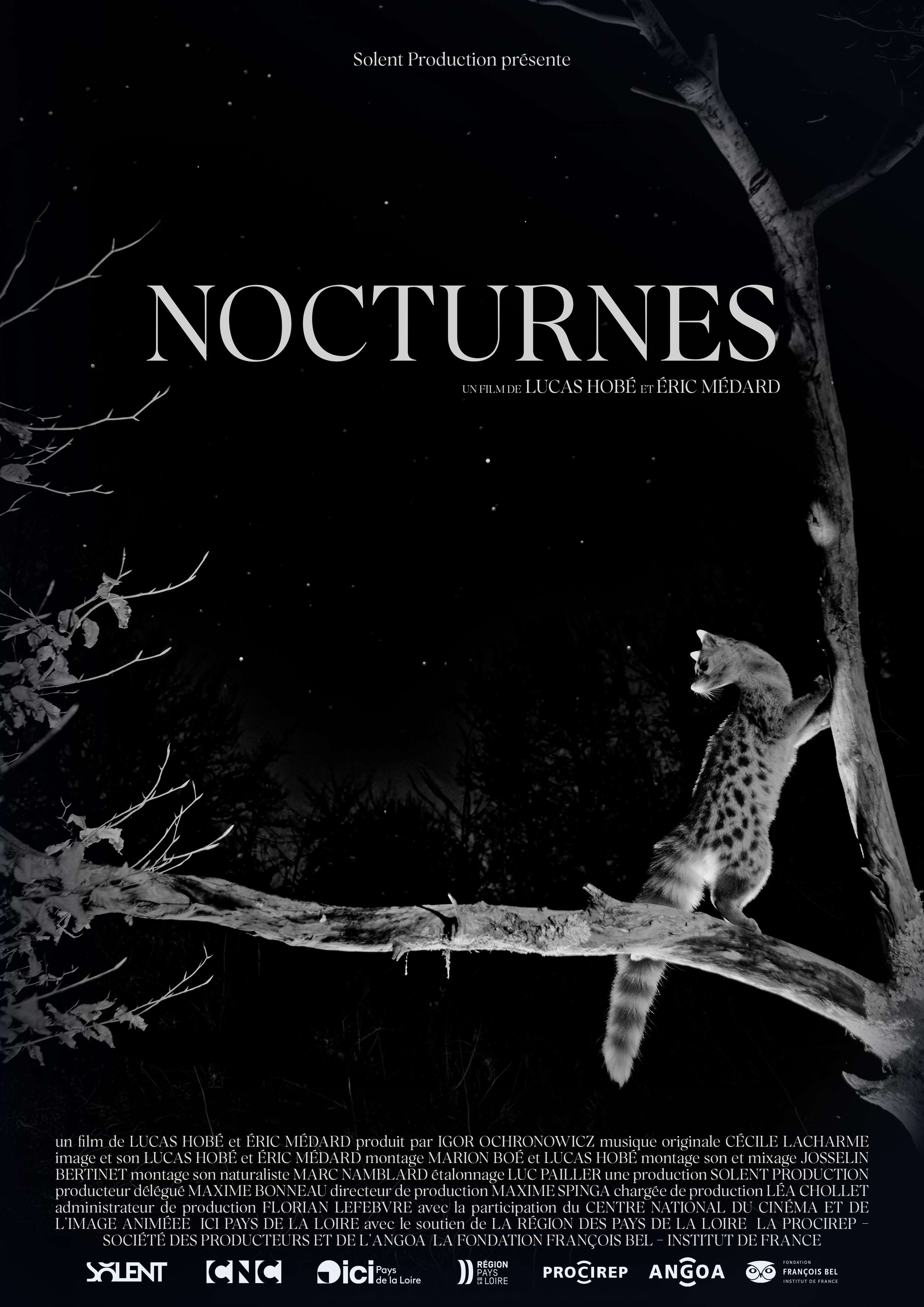 Nocturnes