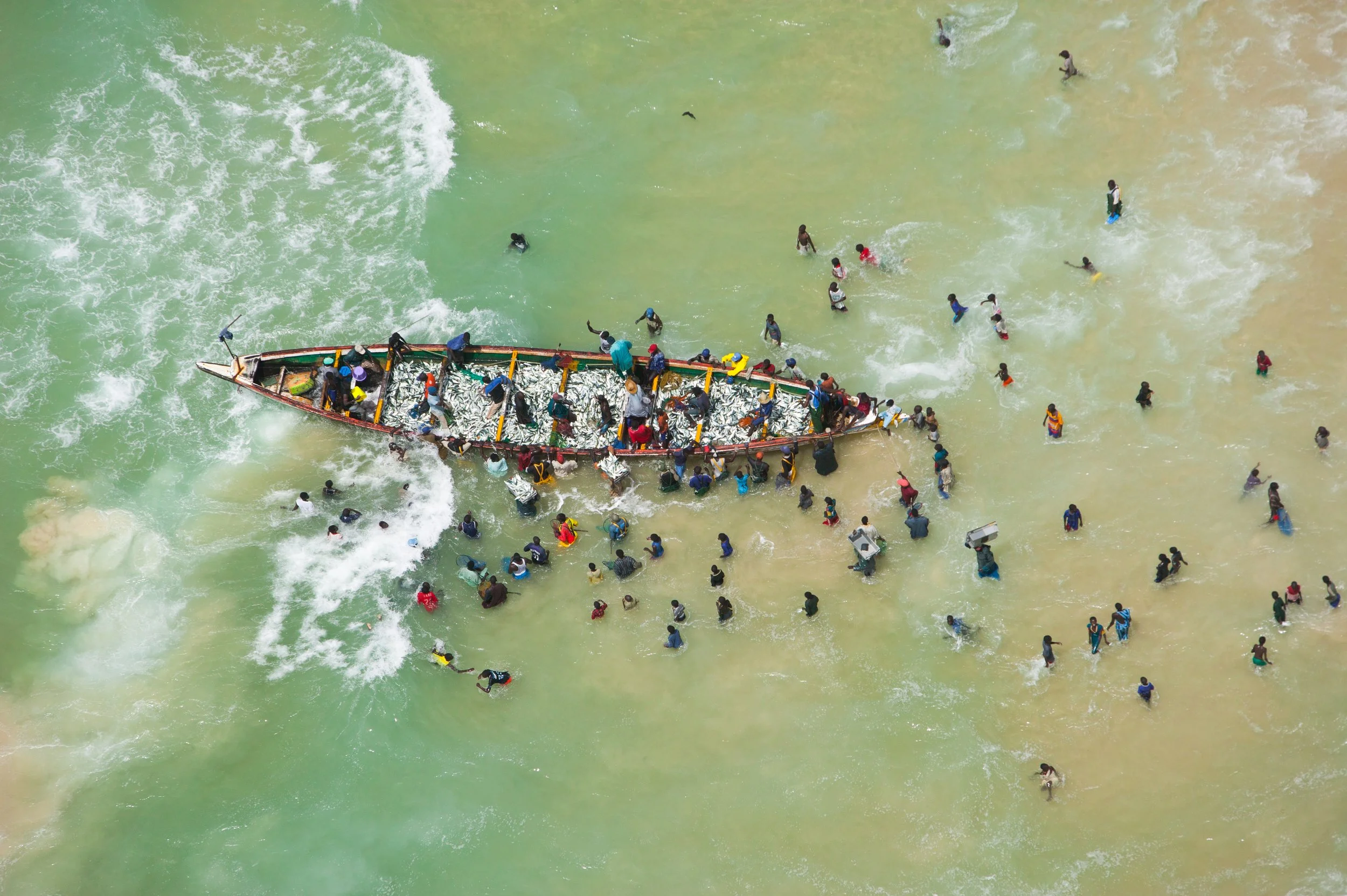 Notre catalogue sur les plateformes