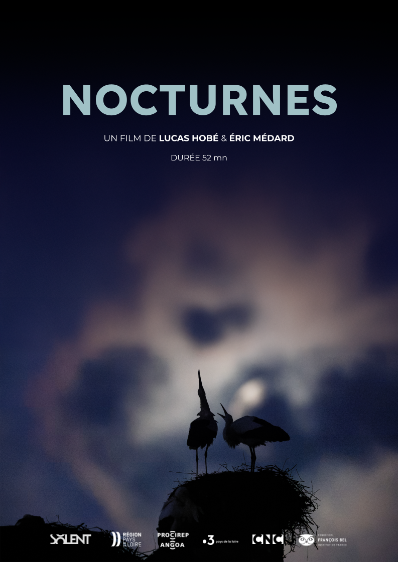 Nocturnes