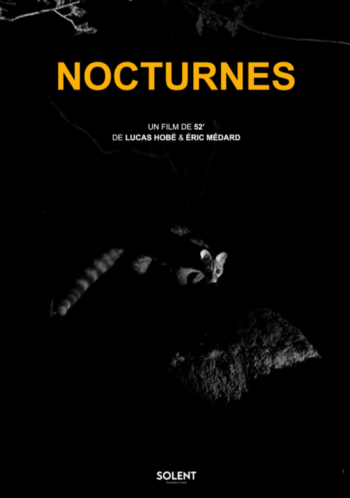 Nocturnes