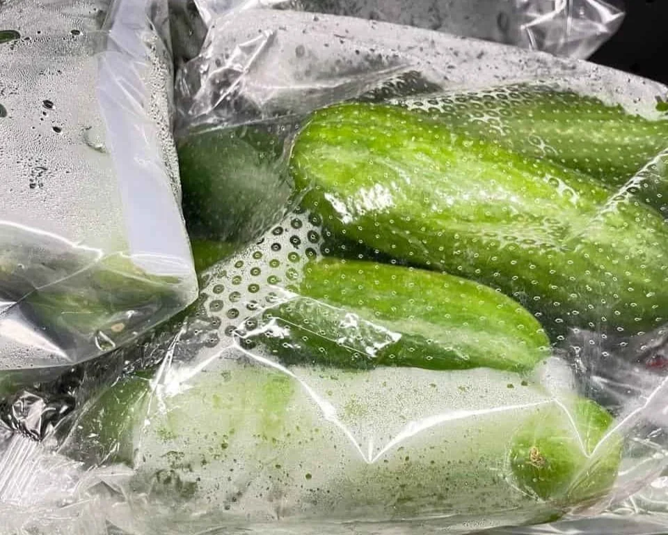 Fresh cucumbers in a sealed plastic bag.