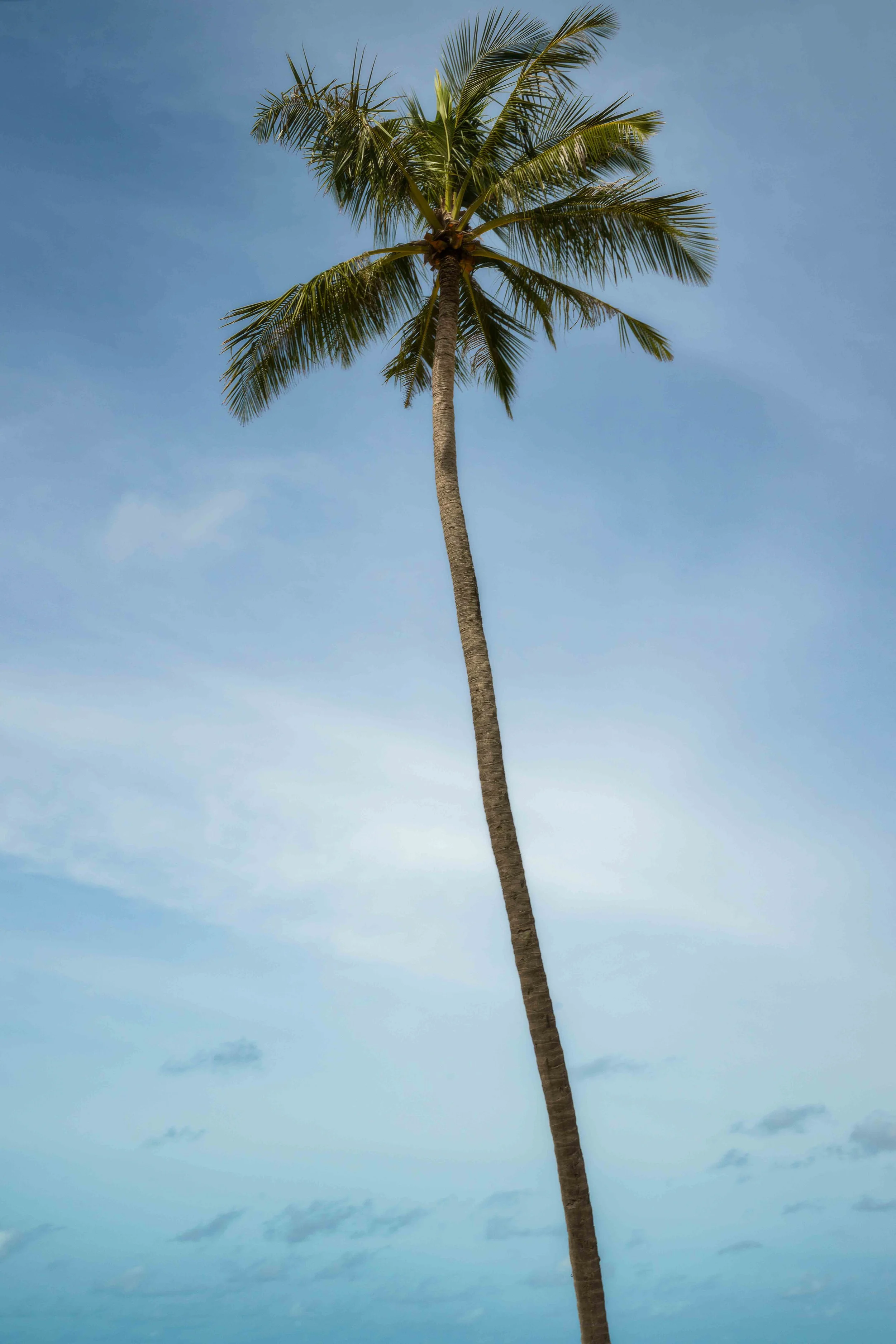 Maldives_30.jpg