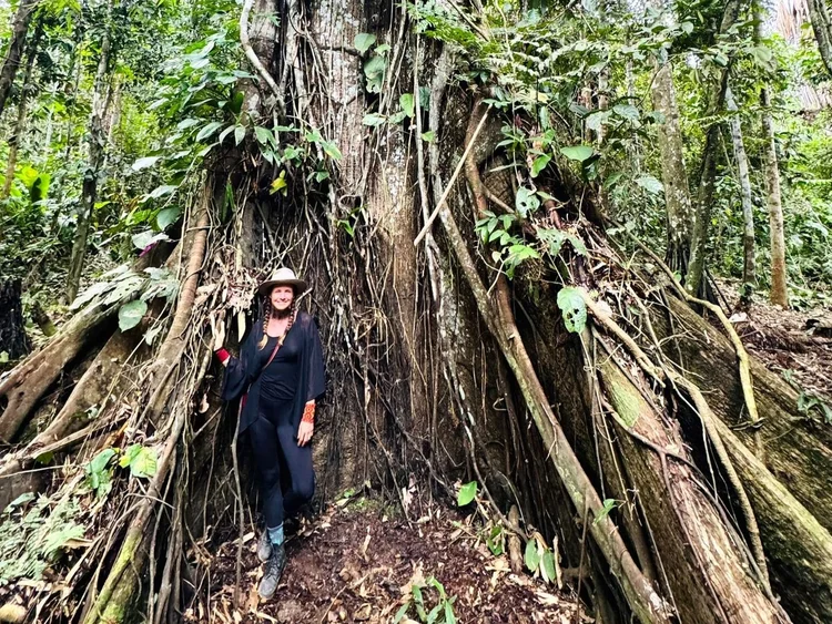 A visitor beside the broad roots of a rainforest tree