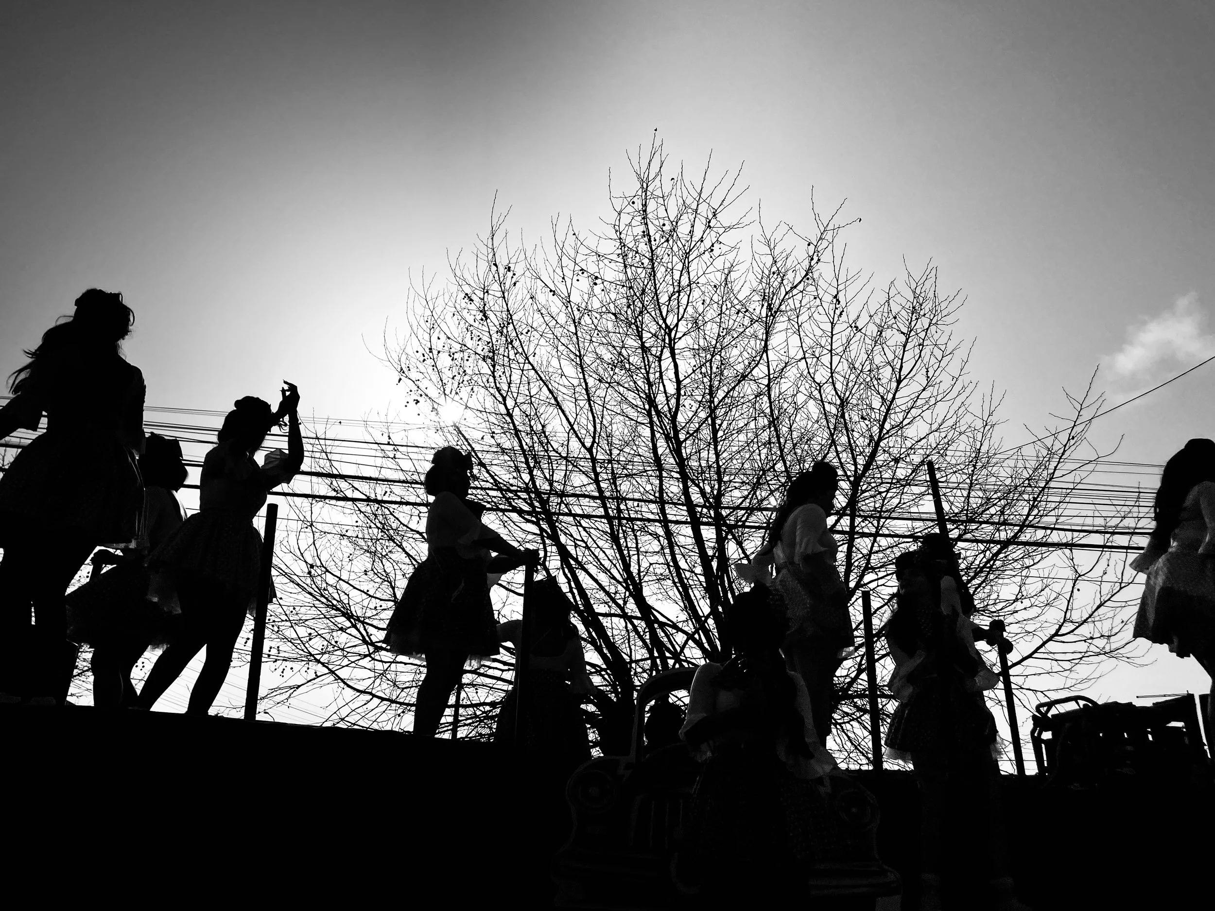 IMG_7157.jpeg