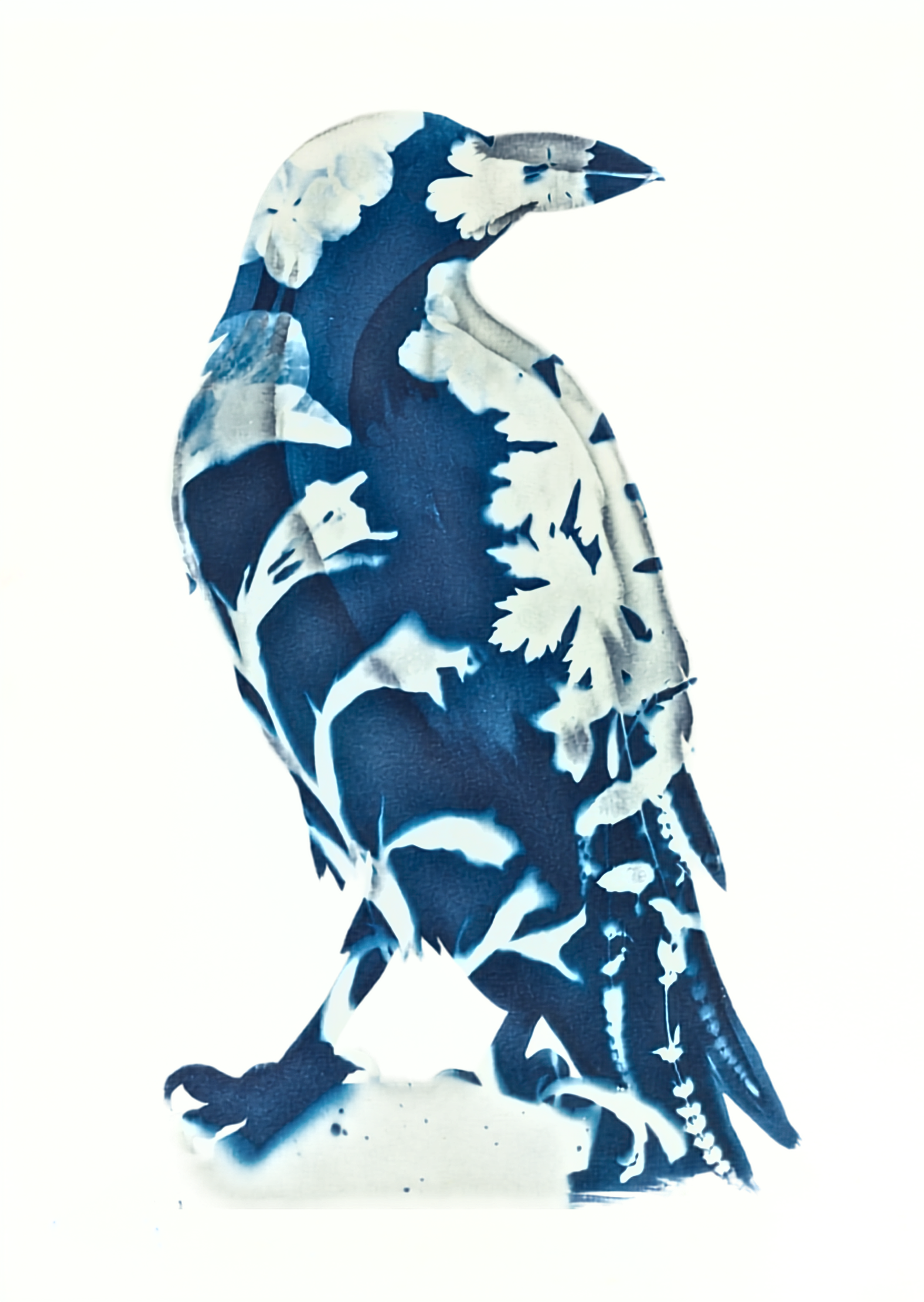 A self-taught paper marbler of 40 odd years, Sarah has researched, explored 
and crafted both Turkish marbling and now the ancient art of Japanese 
marbling.