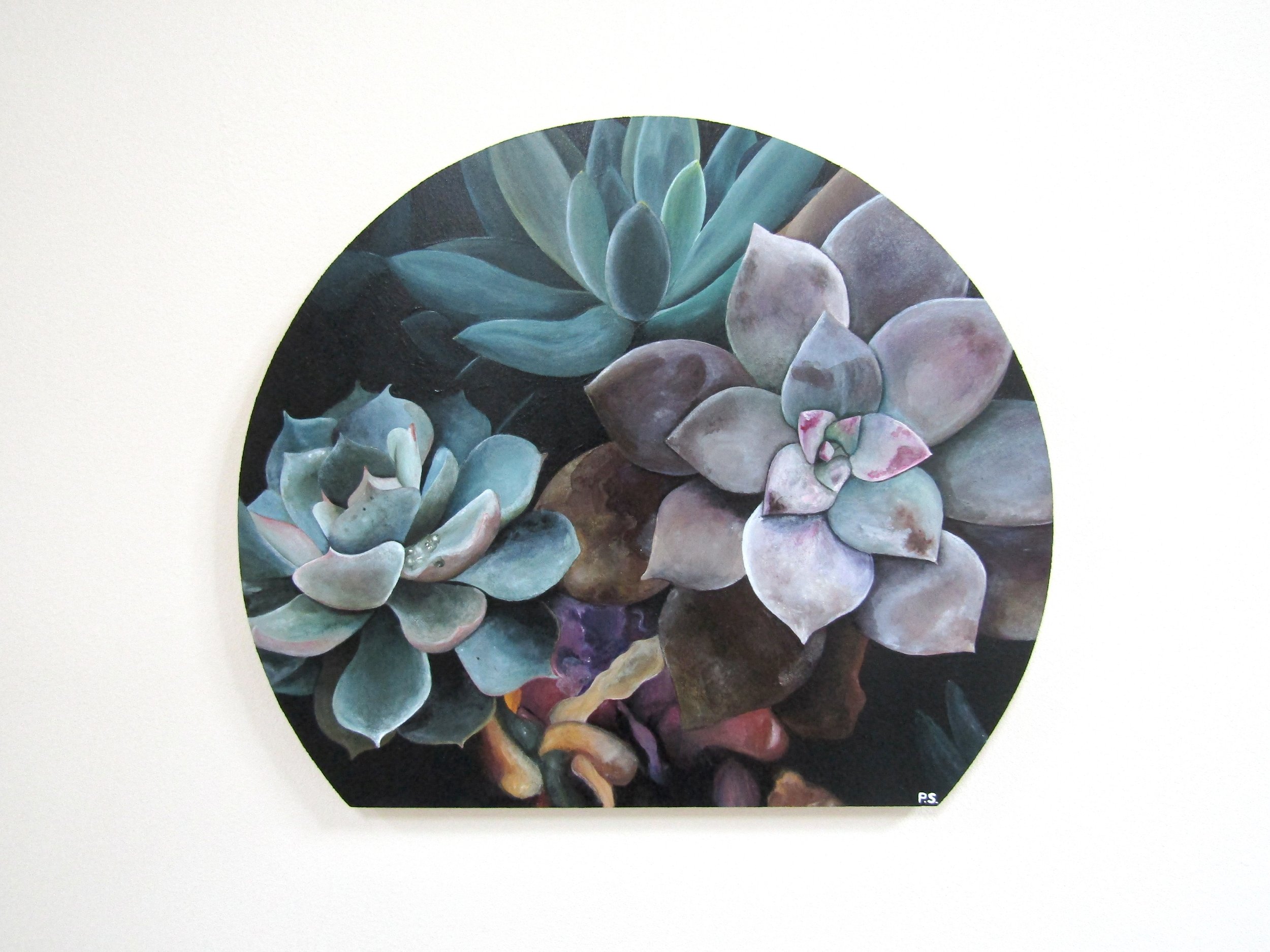Succulents - £325