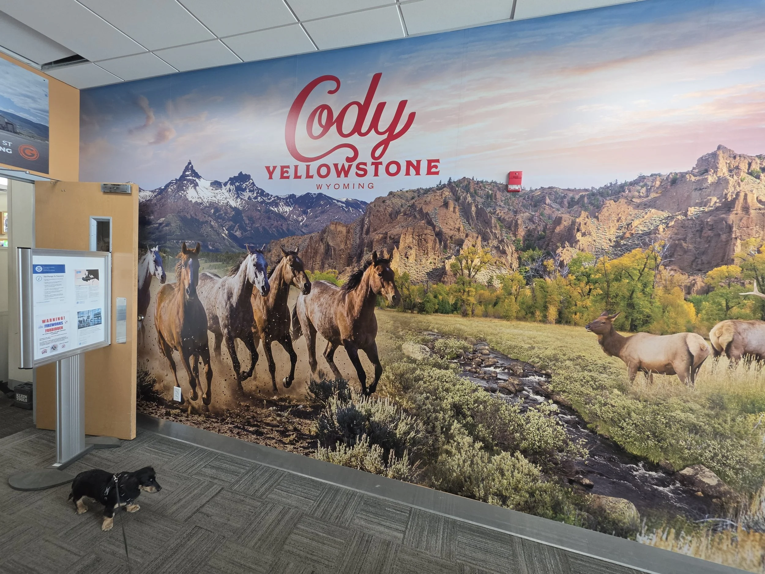Custom scenic wall mural wrap installed on an exterior wall in Cody, Wyoming.