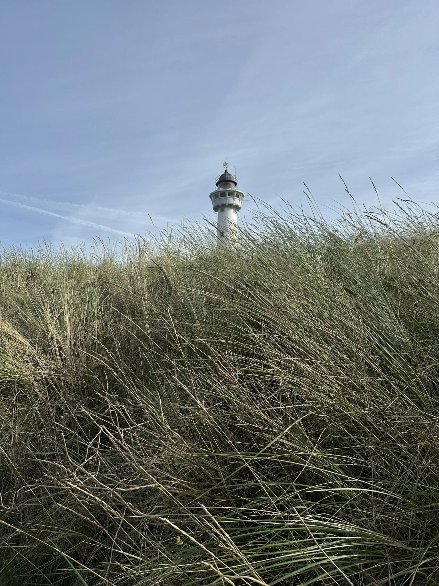 IMG_6871.JPEG