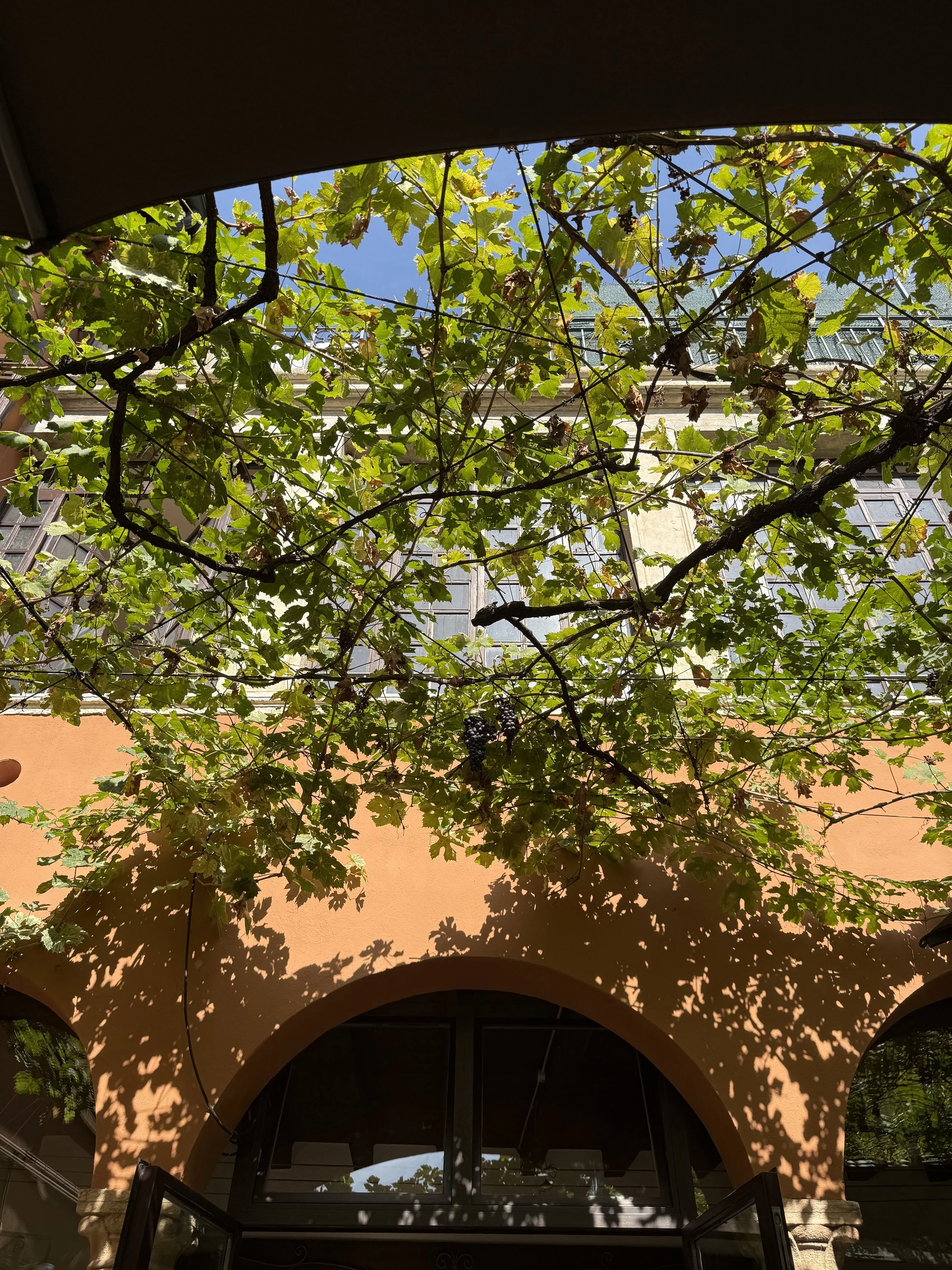 image0 (3).jpeg