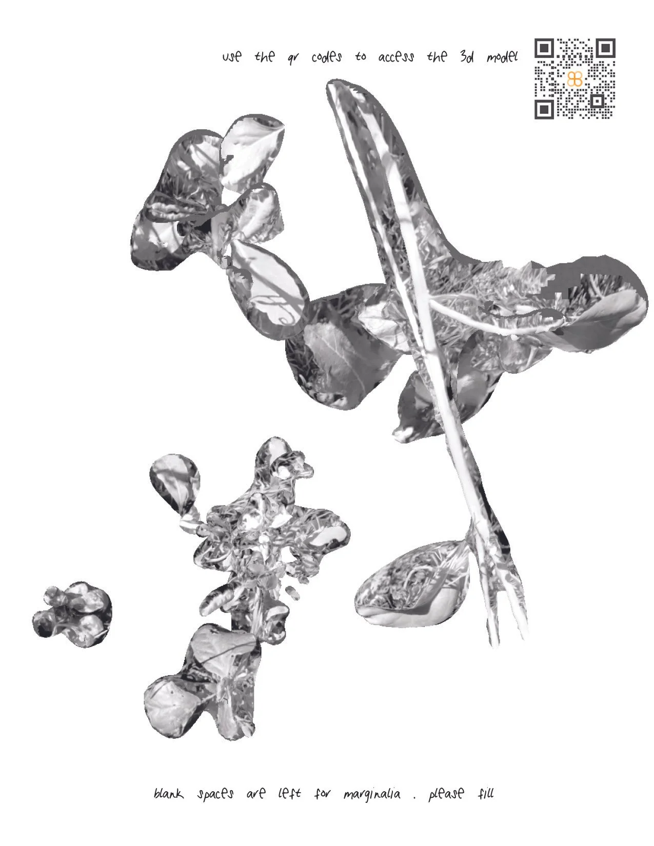 Herbal rev13.jpg
